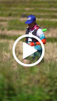 BIB:  <button type="button" onclick="openModal(26787256)" class="btn btn-primary btn-sm float-right" data-toggle="modal" data-target=".modal-high-quality">
                <i class="fa fa-download"></i> Download
                </button>